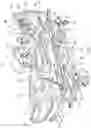Fig. 02 - Patient support apparatus having an integrated limb compression device