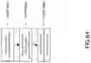 Fig. 50 - SYSTEMS, DEVICES, AND METHODS FOR PERFORMING MEDICAL PROCEDURES IN THE INTESTINE