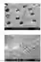 Fig. 04 - Composition for intracanal medication