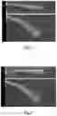 Fig. 02 - DYE COMPOSITION BASED ON COPOLYMERS DERIVED FROM THE POLYMERIZATION OF AT LEAST ONE CROTONIC ACID MONOMER OR CROTONIC ACID DERIVATIVE AND OF AT LEAST ONE VINYL ESTER MONOMER AND SILICONE, AND PROCESS FOR DYEING KERATIN FIBERS USING SAME