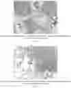 Fig. 18 - Methods for treating lung disorders