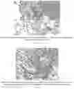 Fig. 19 - Methods for treating lung disorders