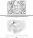 Fig. 22 - Methods for treating lung disorders