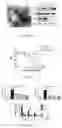Fig. 02 - Exosome preparation for treating disease and application thereof
