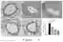 Fig. 03 - Exosome preparation for treating disease and application thereof