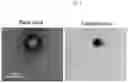 Fig. 04 - Membrane lipid coated viral nanoparticles and method of use