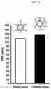 Fig. 05 - Membrane lipid coated viral nanoparticles and method of use