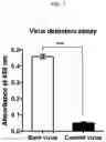Fig. 06 - Membrane lipid coated viral nanoparticles and method of use