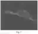 Fig. 08 - Compositions for facilitating membrane fusion and uses thereof