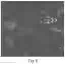 Fig. 09 - Compositions for facilitating membrane fusion and uses thereof