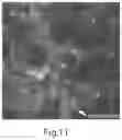 Fig. 12 - Compositions for facilitating membrane fusion and uses thereof