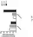 Fig. 18 - Compositions for facilitating membrane fusion and uses thereof