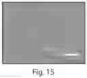 Fig. 19 - Compositions for facilitating membrane fusion and uses thereof