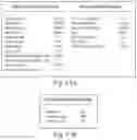 Fig. 21 - Compositions for facilitating membrane fusion and uses thereof