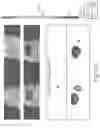 Fig. 34 - Compositions for facilitating membrane fusion and uses thereof