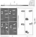 Fig. 36 - Compositions for facilitating membrane fusion and uses thereof
