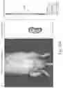 Fig. 46 - Compositions for facilitating membrane fusion and uses thereof
