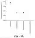 Fig. 47 - Compositions for facilitating membrane fusion and uses thereof