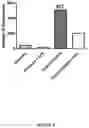 Fig. 06 - CATIONIC NANOPARTICLES FOR ENHANCING INFECTIOUS CAPACITY OF LIVE VIRUSES