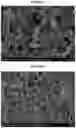 Fig. 02 - PURIFIED THERAPEUTIC NANOPARTICLES AND PREPARATION METHODS THEREOF