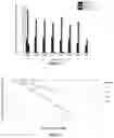 Fig. 04 - Application of clofoctol for manufacturing pharmaceutical product for treating human neuroglioma