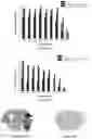 Fig. 05 - Application of clofoctol for manufacturing pharmaceutical product for treating human neuroglioma
