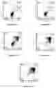 Fig. 08 - Application of clofoctol for manufacturing pharmaceutical product for treating human neuroglioma