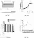 Fig. 06 - Quinic acid-modified nanoparticles and uses thereof