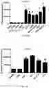 Fig. 07 - Quinic acid-modified nanoparticles and uses thereof