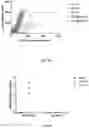 Fig. 11 - Quinic acid-modified nanoparticles and uses thereof