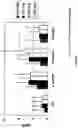 Fig. 08 - METHODS FOR THE TREATMENT OF ERECTILE DYSFUNCTION USING FISPEMIFENE