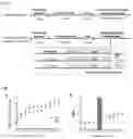 Fig. 02 - Carotenoid-containing cognitive function improving composition for use in exercise therapy for improving cognitive function