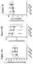 Fig. 04 - METHODS OF TREATING PSYCHIATRIC STRESS DISORDERS