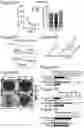 Fig. 07 - METHODS OF TREATING PSYCHIATRIC STRESS DISORDERS
