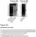 Fig. 10 - METHODS OF TREATING PSYCHIATRIC STRESS DISORDERS