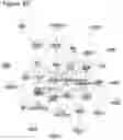 Fig. 11 - METHODS OF TREATING PSYCHIATRIC STRESS DISORDERS