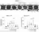 Fig. 25 - METHODS OF TREATING PSYCHIATRIC STRESS DISORDERS