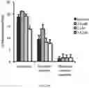 Fig. 23 - Mitoriboscins: mitochondrial-based therapeutics targeting cancer cells, bacteria and pathogenic yeast