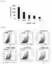Fig. 02 - CANCER STEM CELL PROLIFERATION INHIBITOR