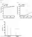 Fig. 07 - CANCER STEM CELL PROLIFERATION INHIBITOR