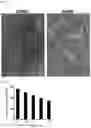 Fig. 08 - CANCER STEM CELL PROLIFERATION INHIBITOR