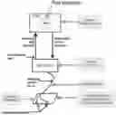 Fig. 01 - Method of treatment for reducing pain sensitization