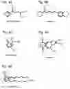 Fig. 04 - Method of treatment for reducing pain sensitization