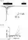 Fig. 05 - Method of treatment for reducing pain sensitization