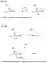 Fig. 08 - Method of treatment for reducing pain sensitization