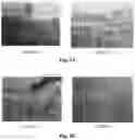 Fig. 05 - Health functional food for reducing and preventing capillary hemorrhage
