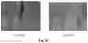 Fig. 06 - Health functional food for reducing and preventing capillary hemorrhage