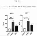 Fig. 03 - Composition for improving brain function