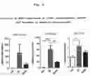 Fig. 07 - Composition for improving brain function