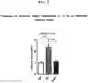 Fig. 08 - Composition for improving brain function